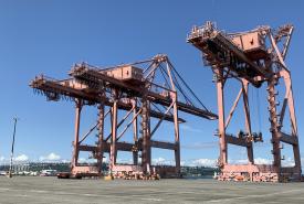Crane 80