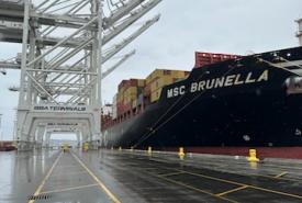 MSC Brunella